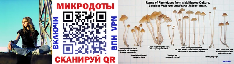 купить наркотик  Игарка  Псилоцибиновые грибы ЛСД 